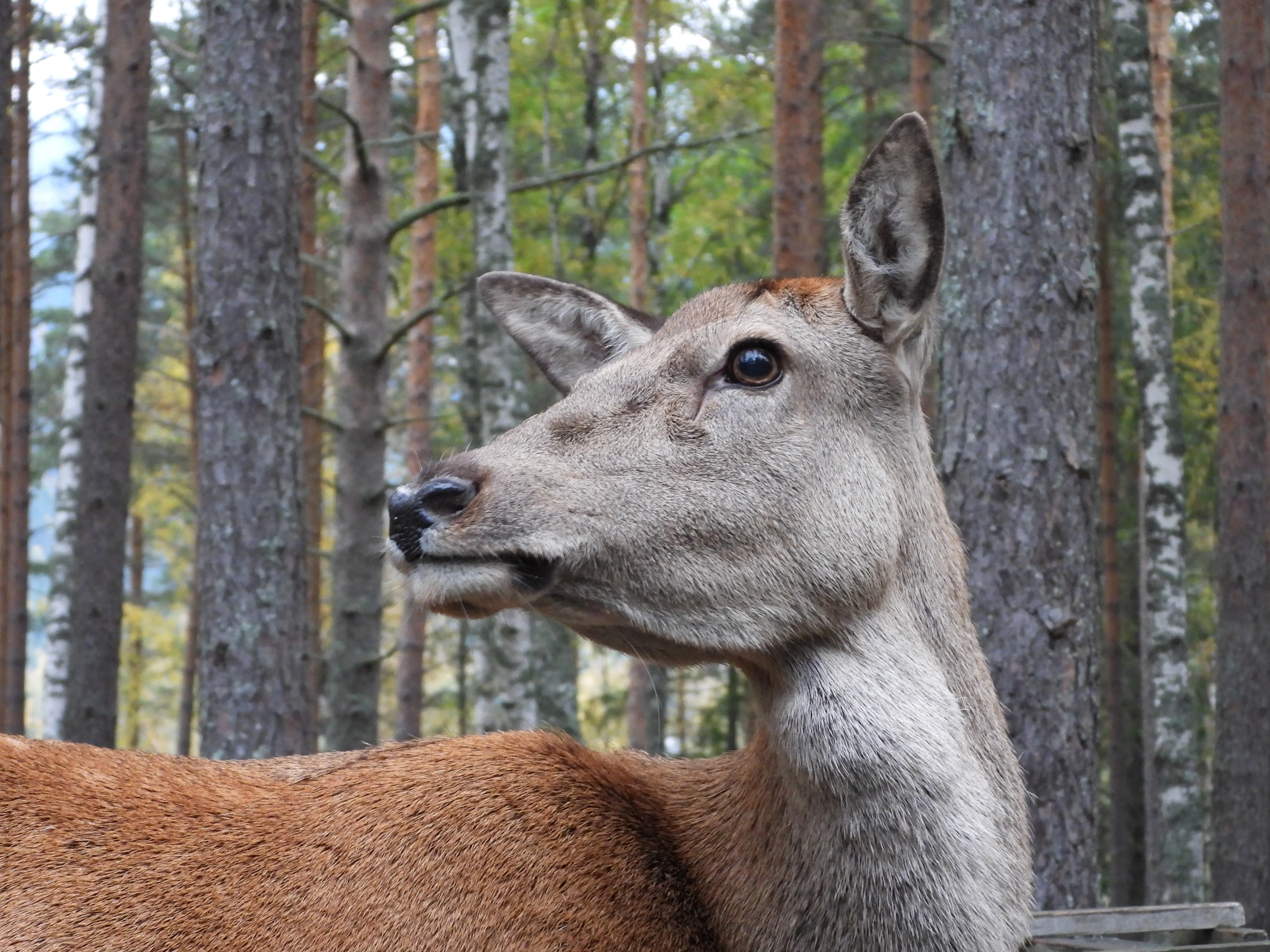 DSCN6711.JPG
