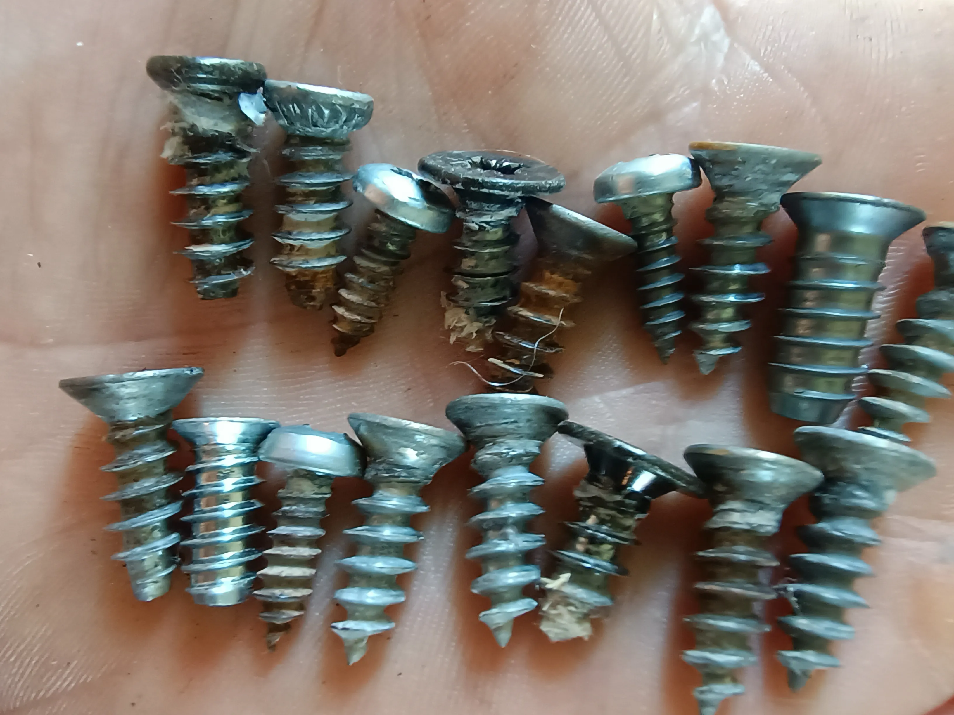 Various screws for ski bindings.