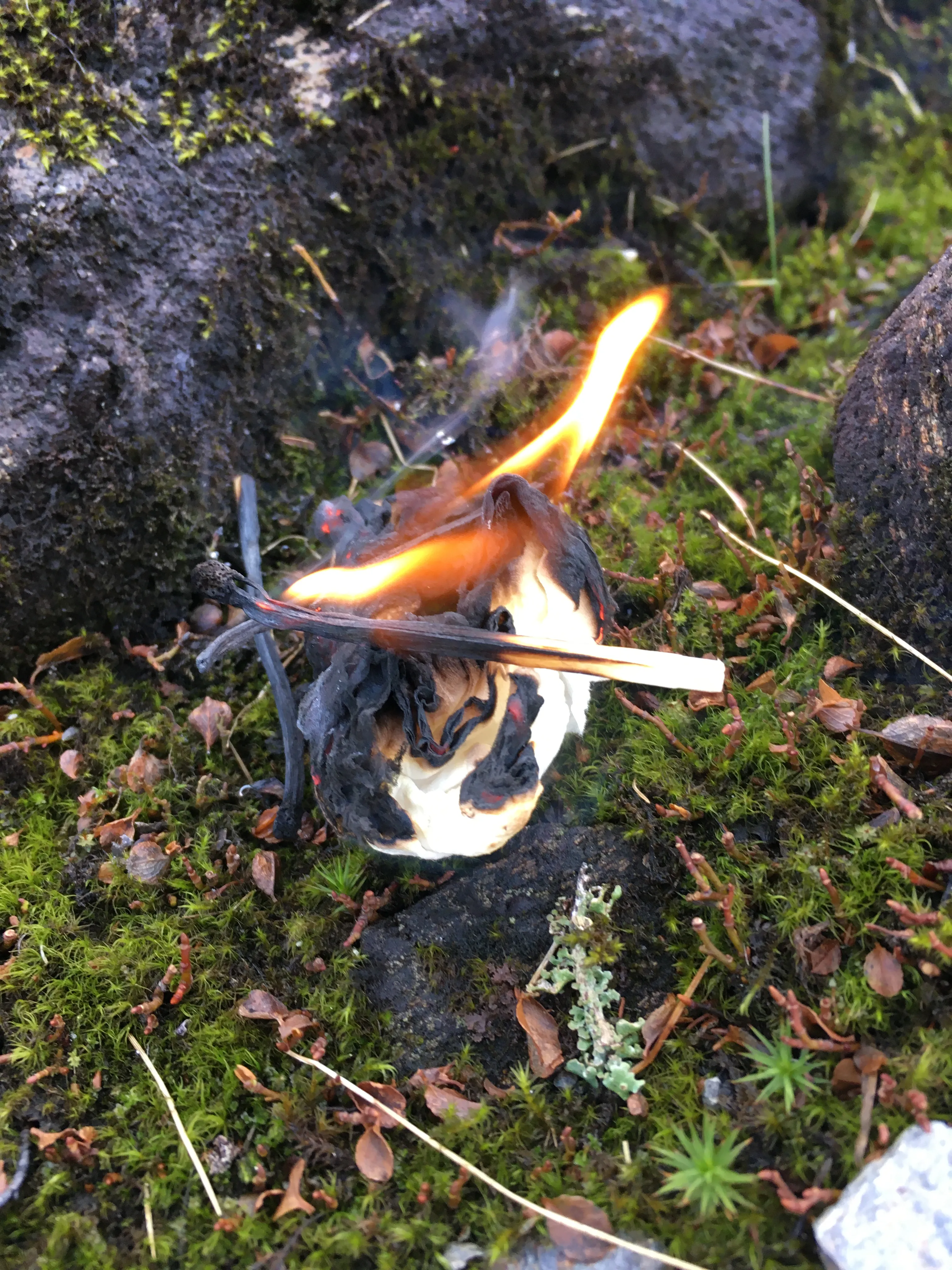 Papir som ikke er for vått kan brennes. NB! Må ikke gjøres om det er veldig tørt på bakken.