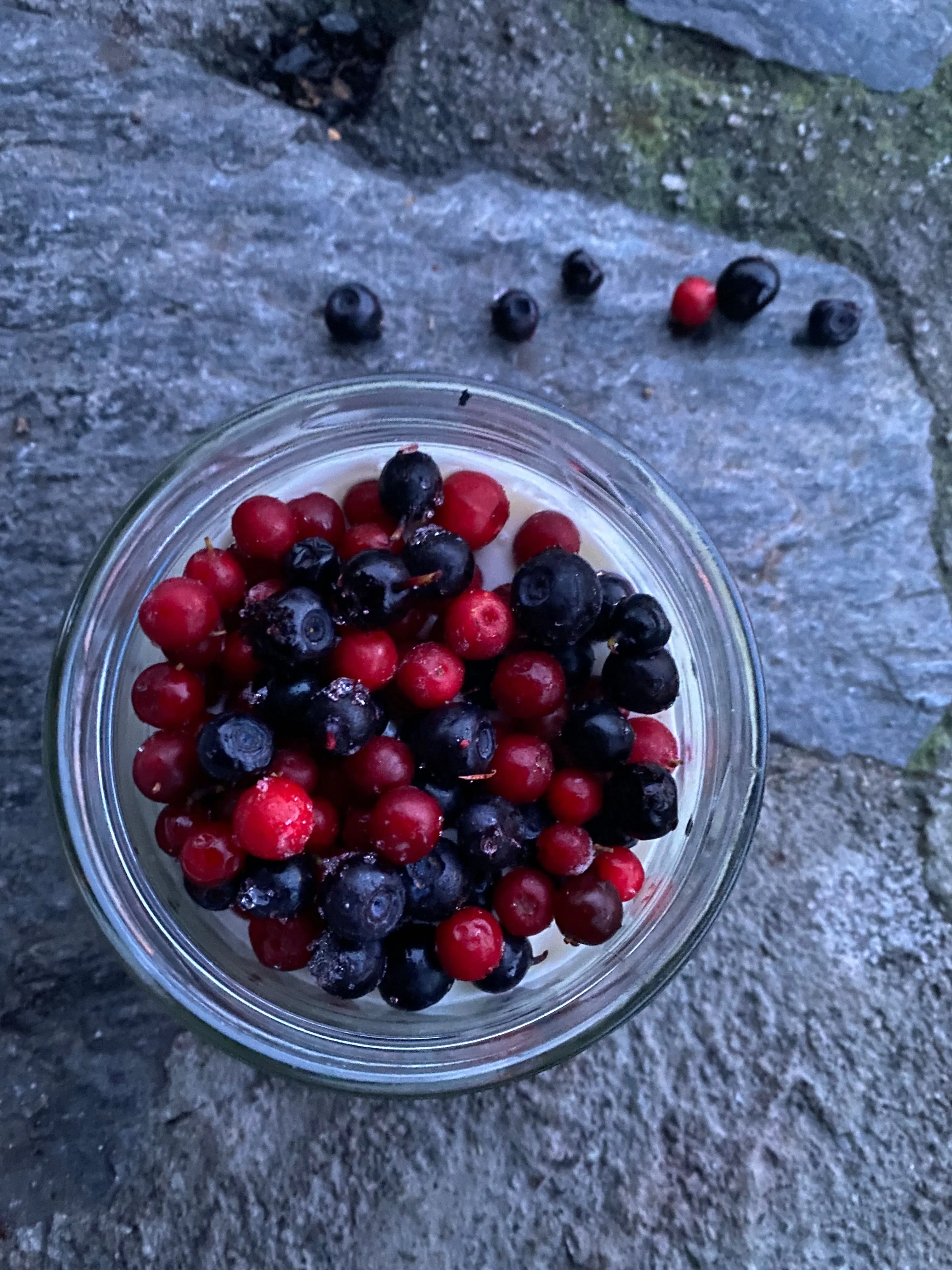 Foto: Hilde Grøtte
