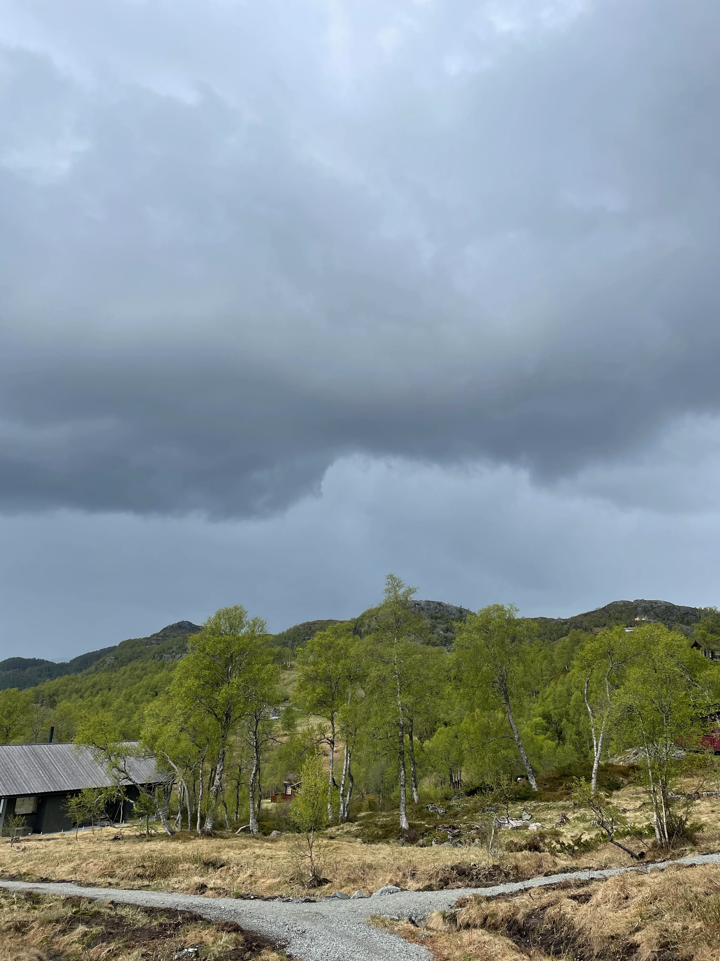 Nedbørsskylag (nimbostratus).