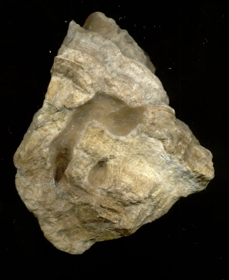 Limestone
