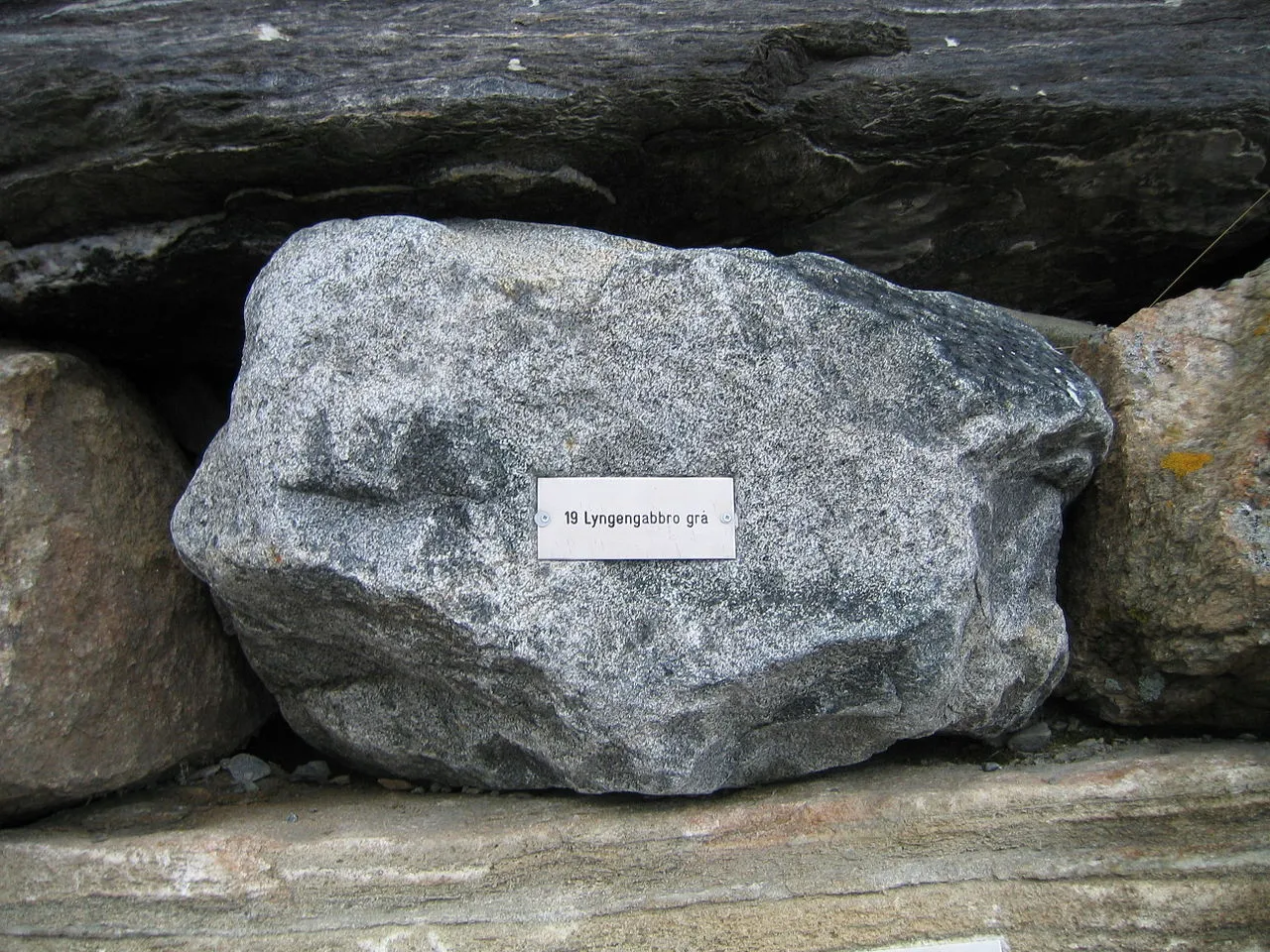 Gabbro