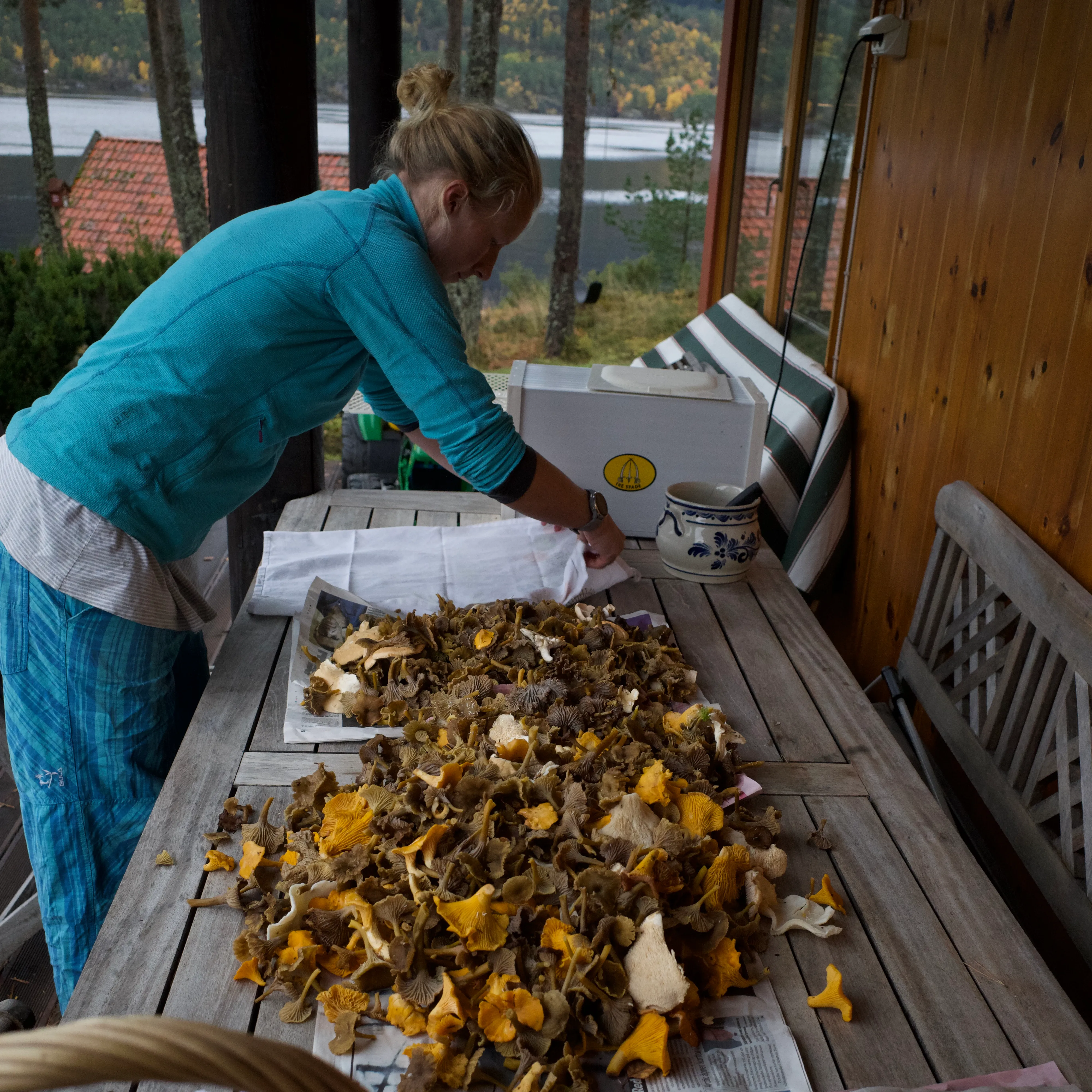 Rensing og sortering av sopp er fint å gjøre før du går inn. Husk at sopp du er usikker på aldri må blandes med resten av soppen du plukker.