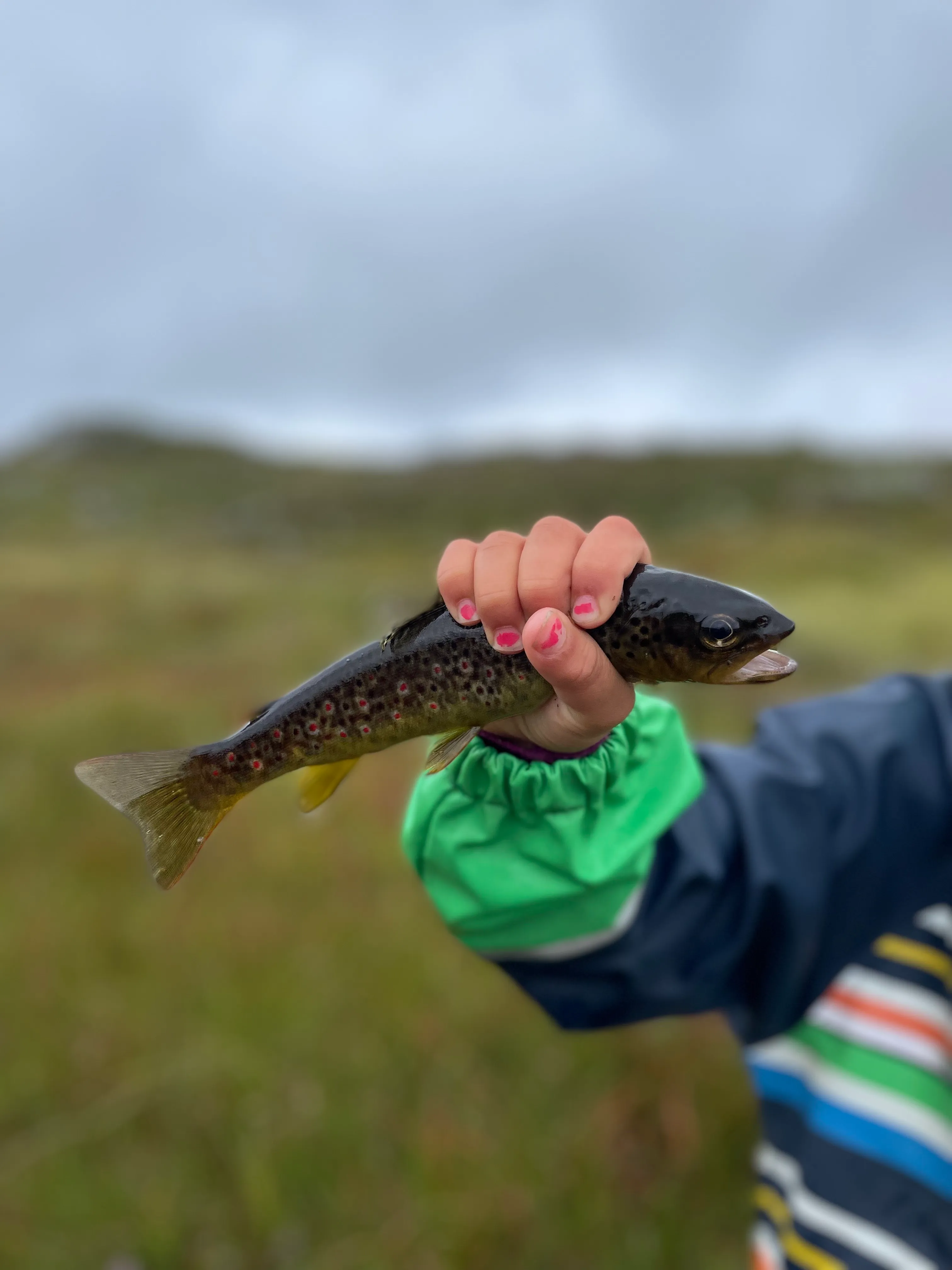 Foto: Gina Wigestrand