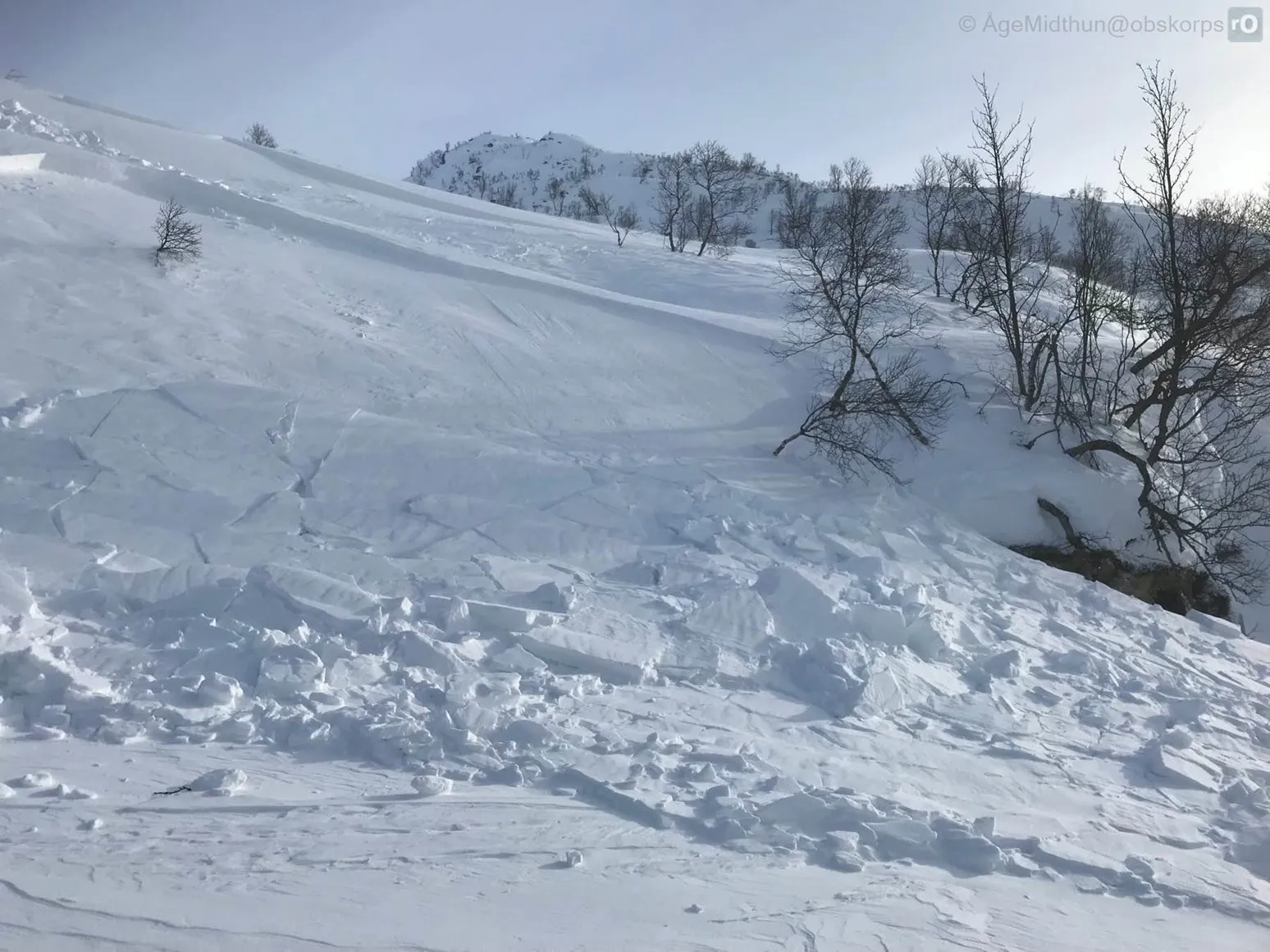 Ferske snøskred