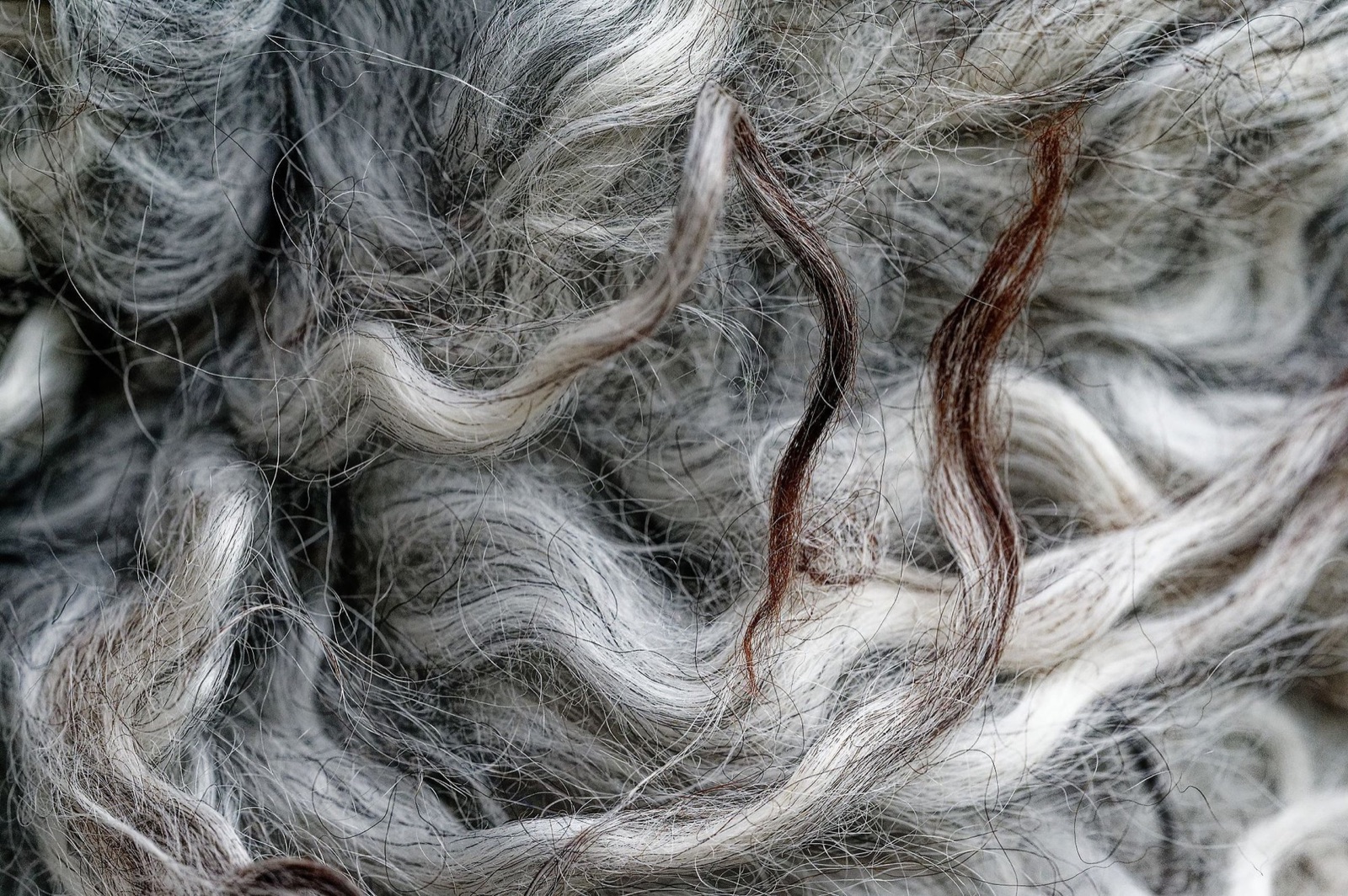 Ull — sentralt naturmateriale i friluftsbekledning