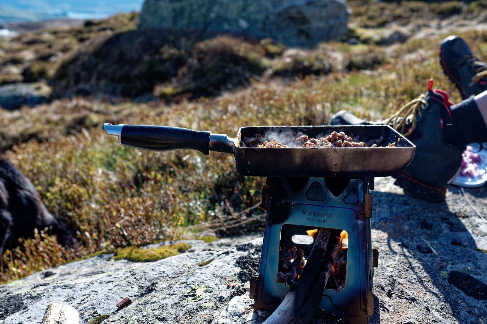 Historisk bruk av ville vekster i norsk kosthold