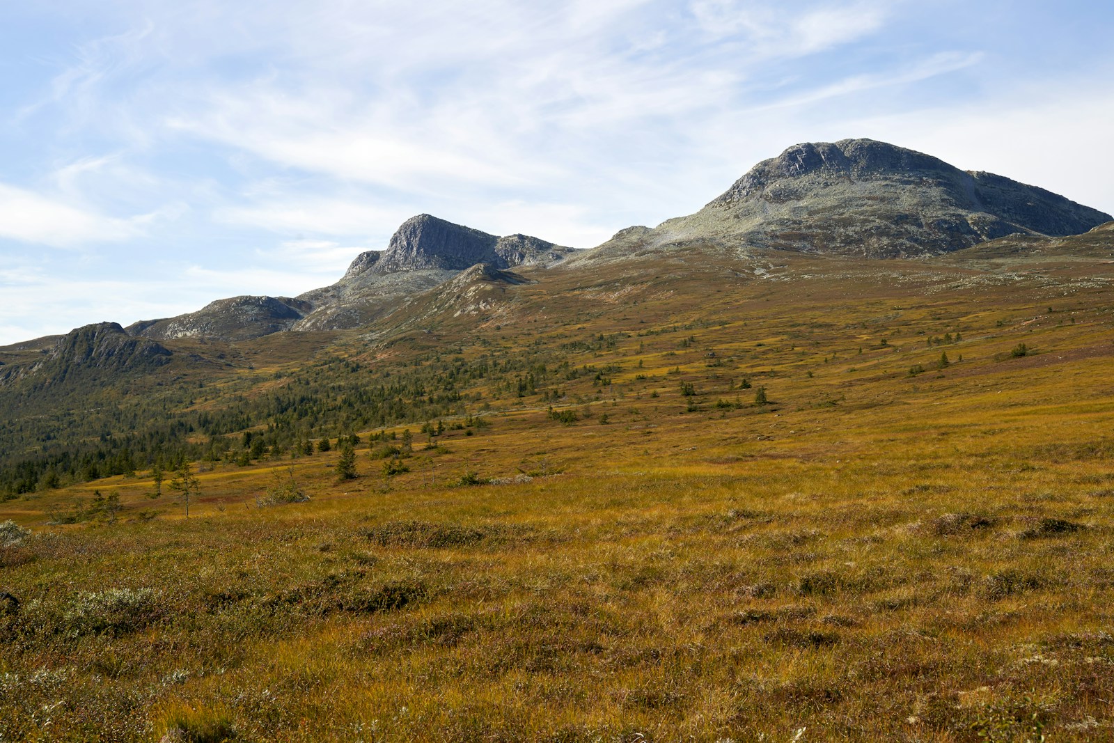 Norsk natur gjennom sesongene — finn ut hva som passer når
