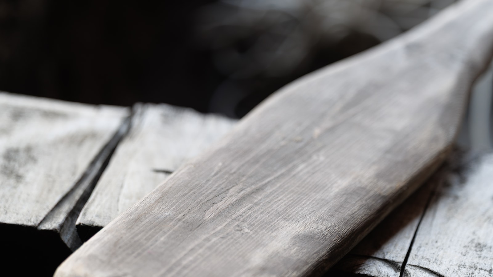 Grønlandsåre i tre, med karakteristisk slanke blad, hvilende på dekket av en havkajakk